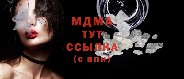стаф Вязьма