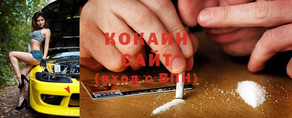 индика Горно-Алтайск